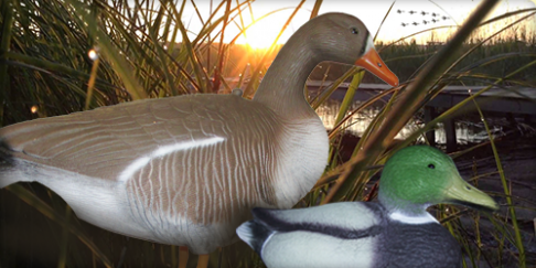 ТОВАРЫ ДЛЯ ОХОТЫ И СТРЕЛЬБЫ ТОВАРЫ ДЛЯ ОХОТЫ И СТРЕЛЬБЫ