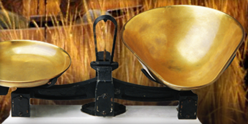 ВЕСЫ и БЕЗМЕНЫ ВЕСЫ и БЕЗМЕНЫ