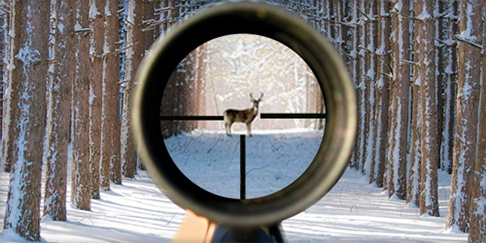 ОПТИКА ОПТИКА